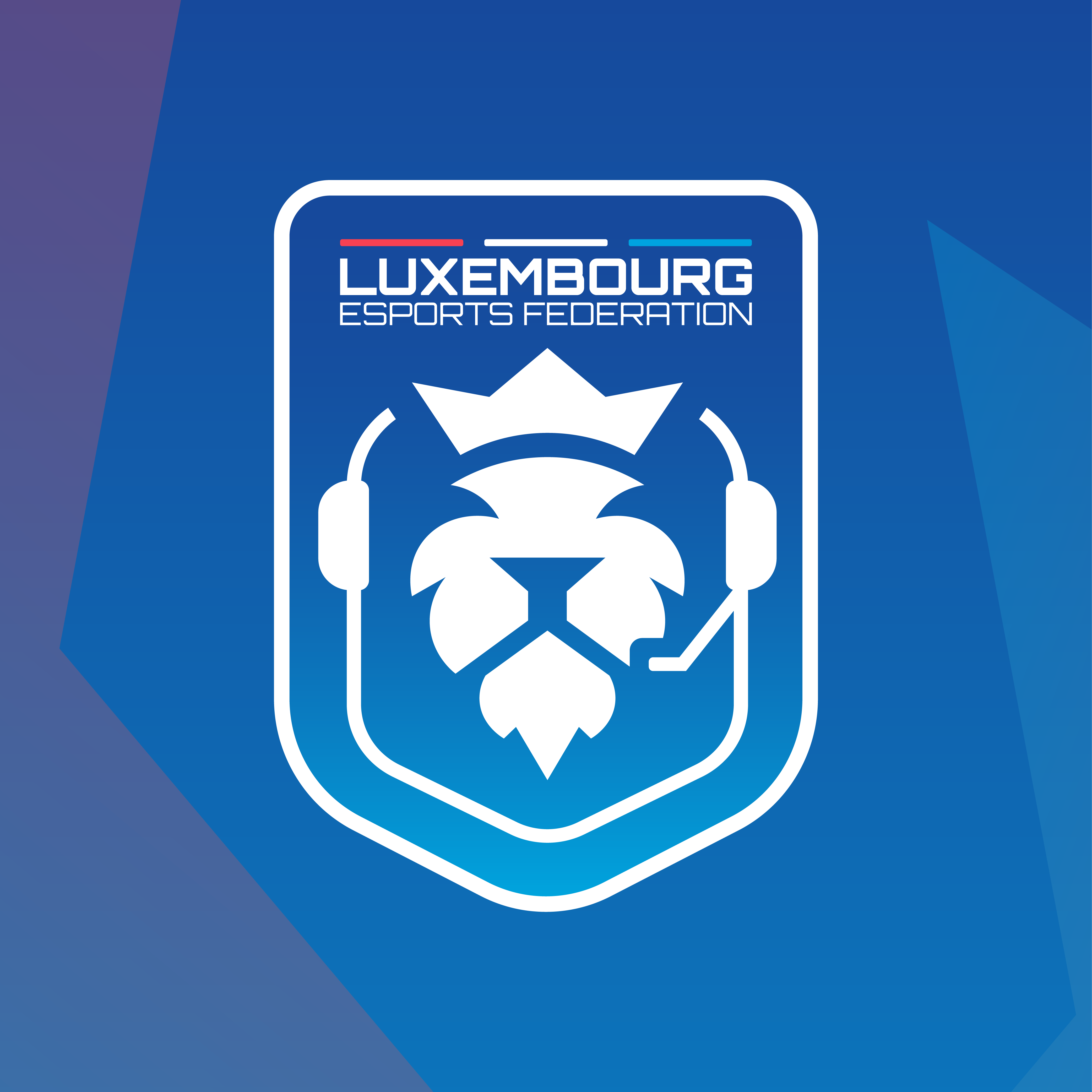 LUXEMBOURG ESPORTS FEDERATION